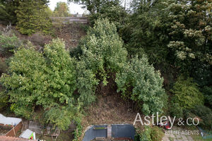 Garden- click for photo gallery
